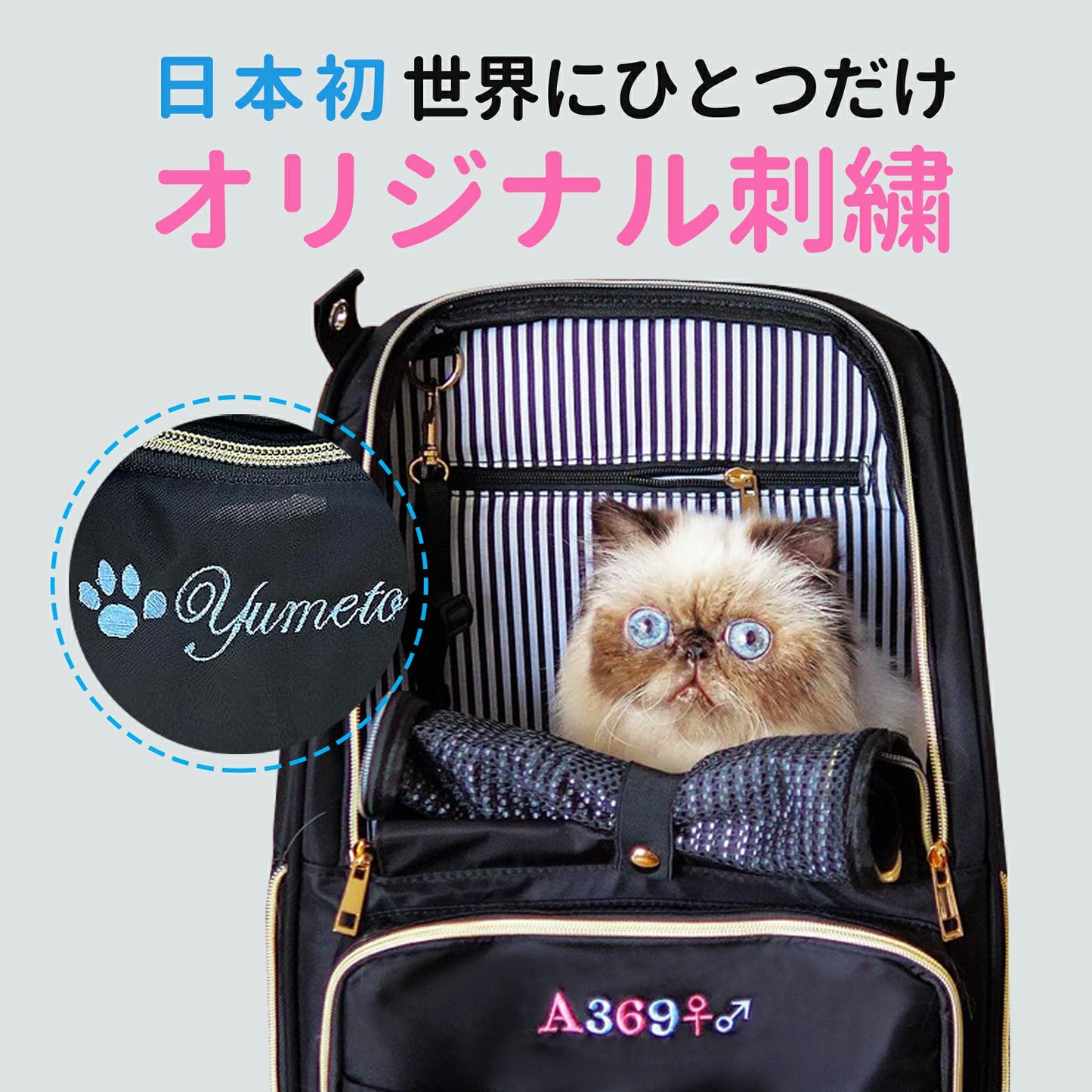 『WinSun』キャリーリュック《ストライプ》 小型犬(6kg以下),猫(8kg以下) 刺繍入り オリジナル