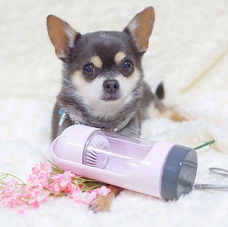 ペット用ウォーターボトルお得セット交換用 活性炭フィルター(2個付き) 緑/桜ピンク