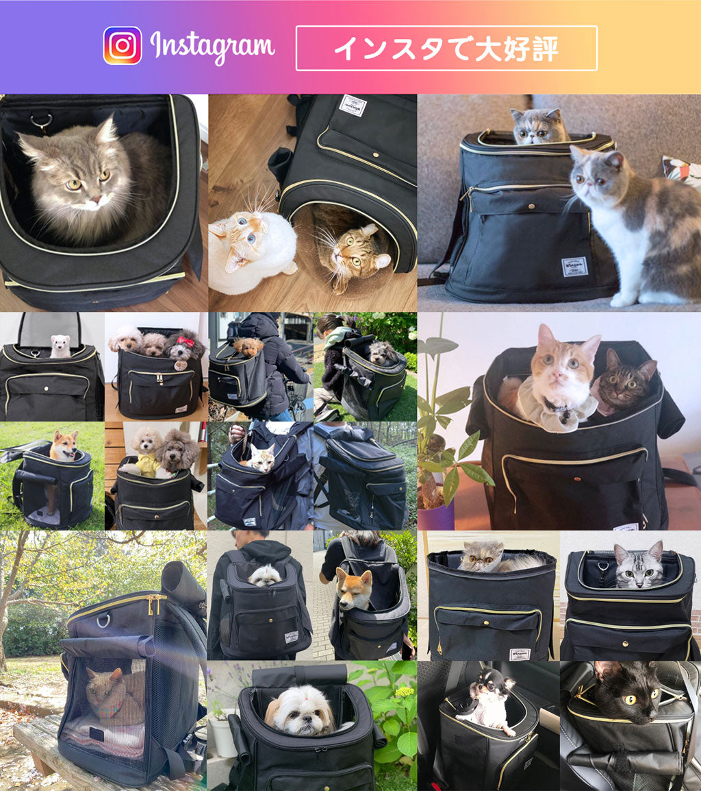 『WinSun』猫 小型犬 ペットキャリーリュック -ブラック