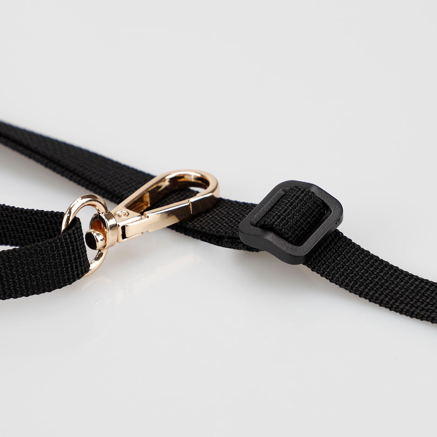 多頭飼いの飛び出し防止リード