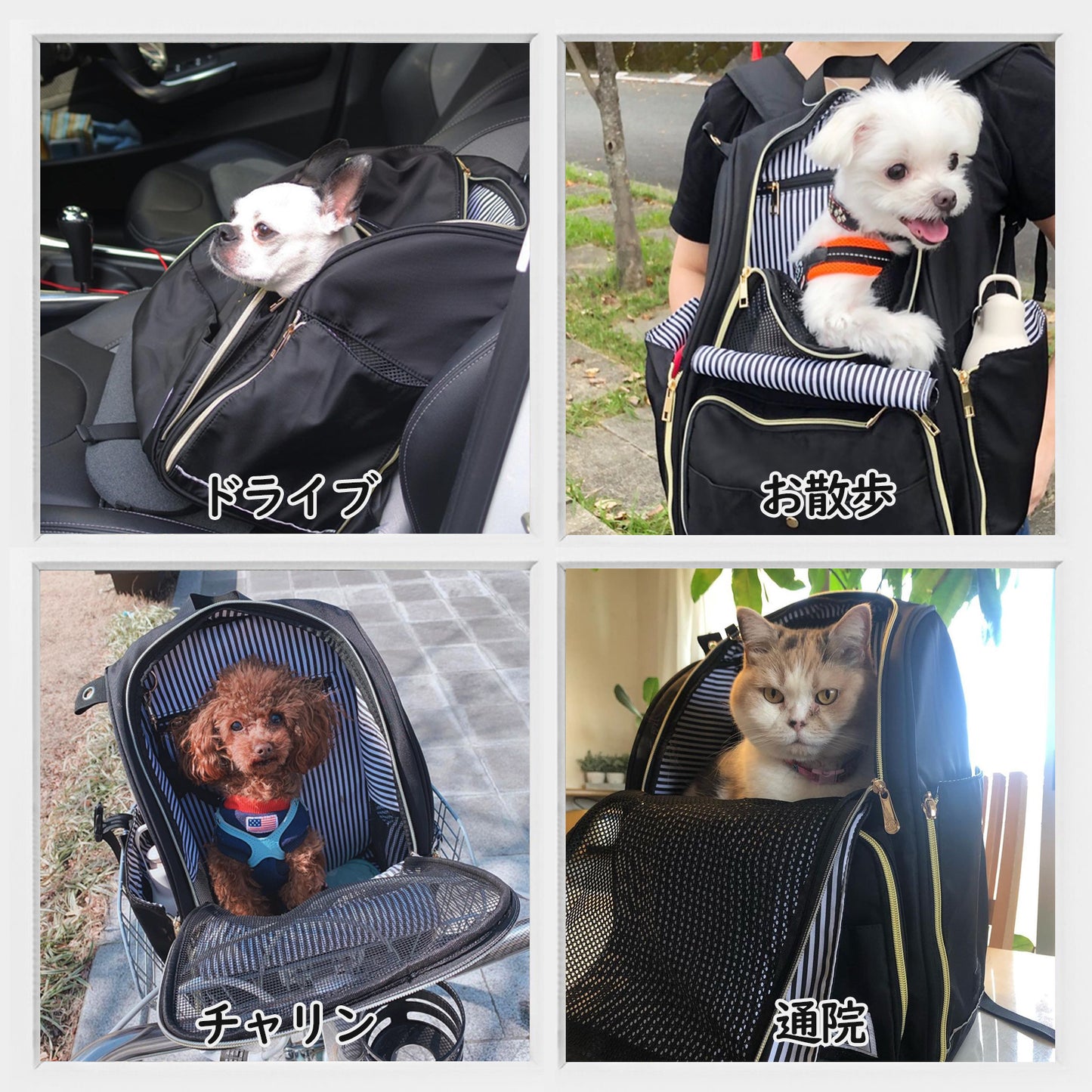 新作 キャリーリュック《ストライプ》と《ネイビードット》 小型犬(6kg以下),猫(8kg以下)