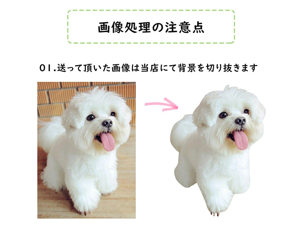 オリジナルパジャマセット 犬 猫 動物 写真プリント オリジナルグッズ オーダーメイド プレゼント 思い出 記念品 贈り物 メモリアル ポリエステル繊維