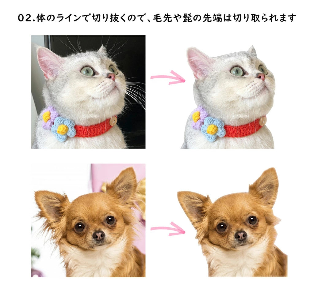 オリジナルパジャマセット 犬 猫 動物 写真プリント オリジナルグッズ オーダーメイド プレゼント 思い出 記念品 贈り物 メモリアル ポリエステル繊維