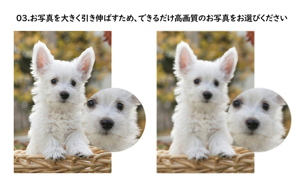 オリジナルパジャマセット 犬 猫 動物 写真プリント オリジナルグッズ オーダーメイド プレゼント 思い出 記念品 贈り物 メモリアル ポリエステル繊維