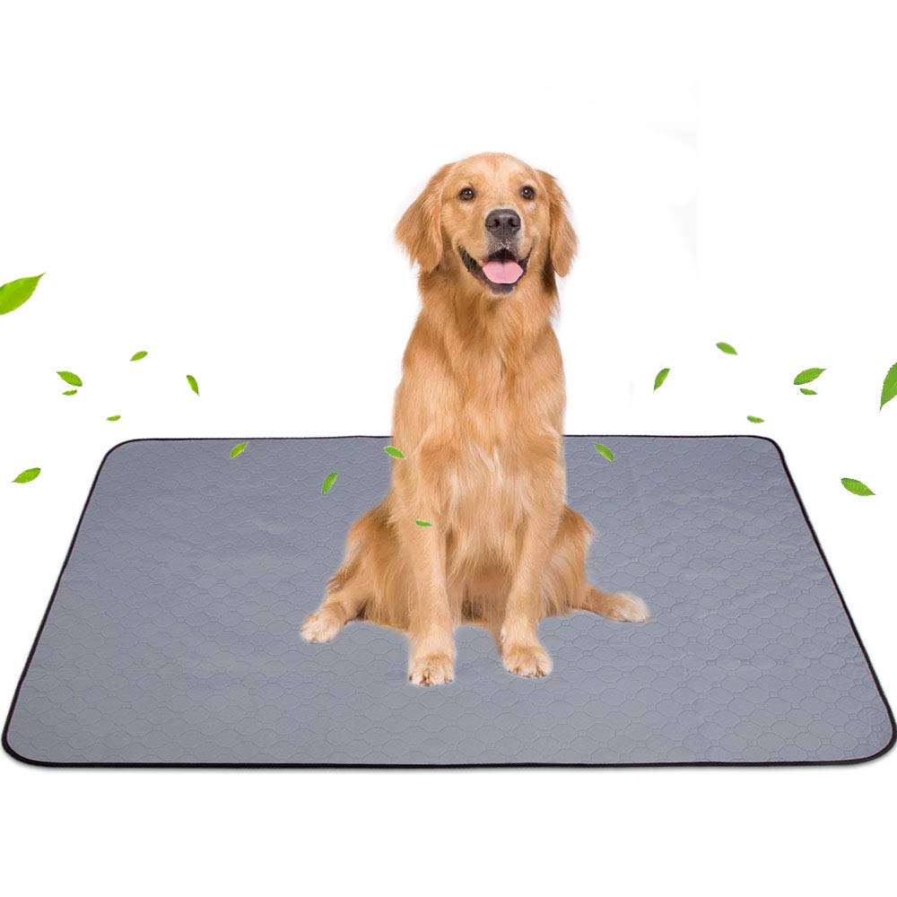 WinSun 2021アップグレード版 ペット用おしっこマット ペットマット トイレシート 下敷き マット 五重構造 防水 速乾 消臭 滑り止め 介護 小型 中型 犬・猫 犬用 丸ごと洗える 繰り返し利用可能 エコ 制菌 超吸収