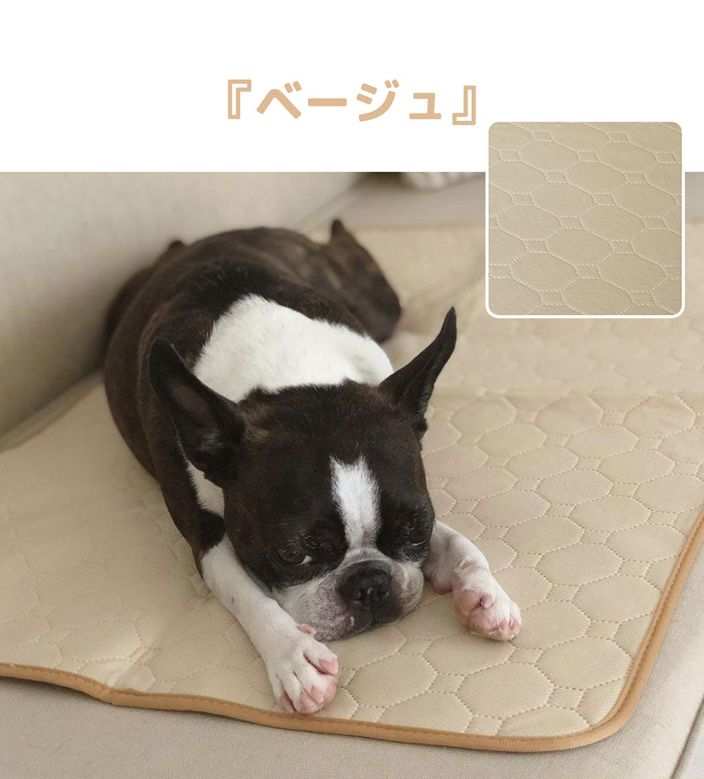 WinSun 2021アップグレード版 ペット用おしっこマット ペットマット トイレシート 下敷き マット 五重構造 防水 速乾 消臭 滑り止め 介護 小型 中型 犬・猫 犬用 丸ごと洗える 繰り返し利用可能 エコ 制菌 超吸収