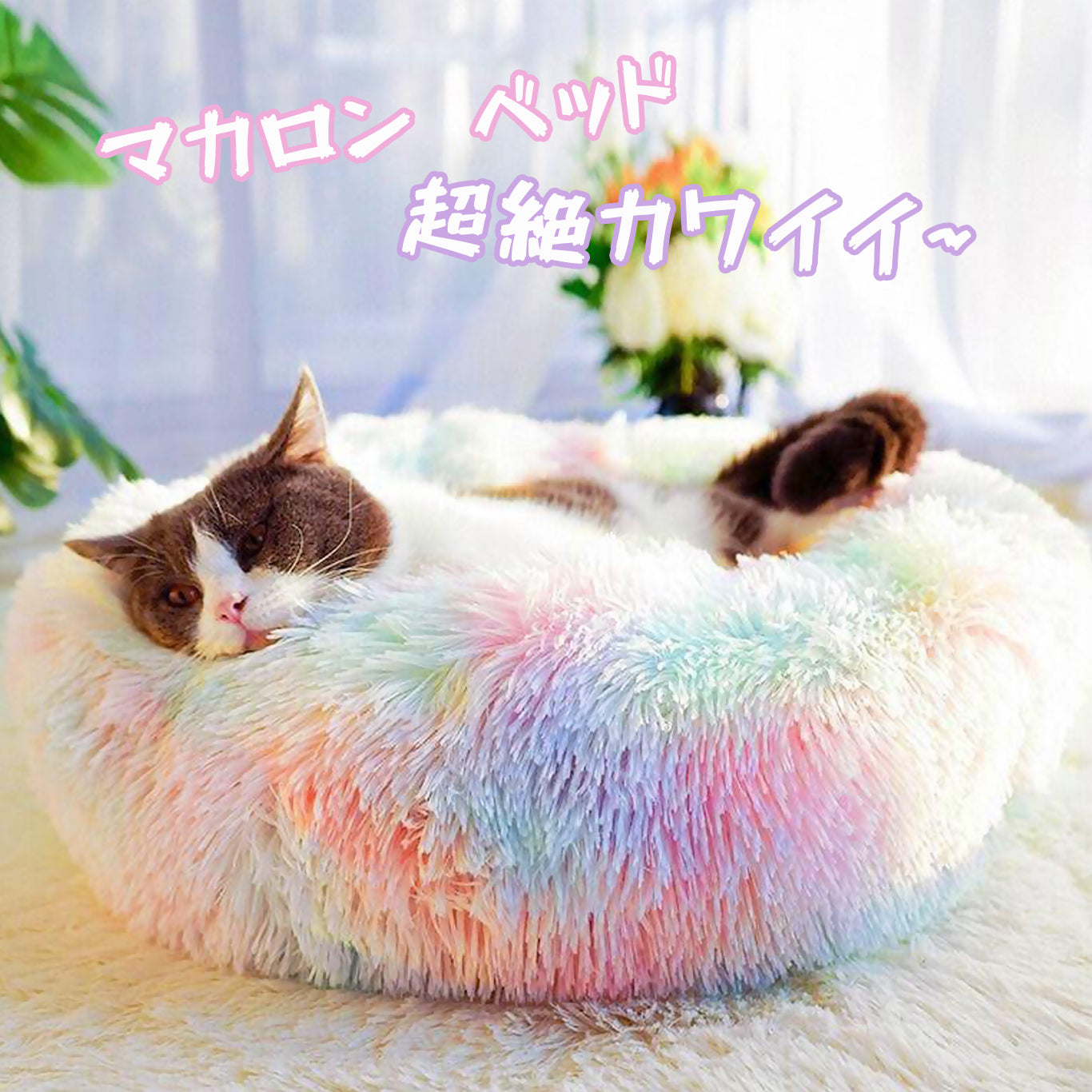 ホームページ